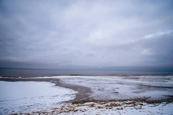 Plage de mer gelée avec neige et arbres gelés — Photo