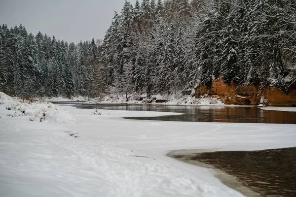 겨울에 얼어 붙은 숲 강 — 스톡 사진