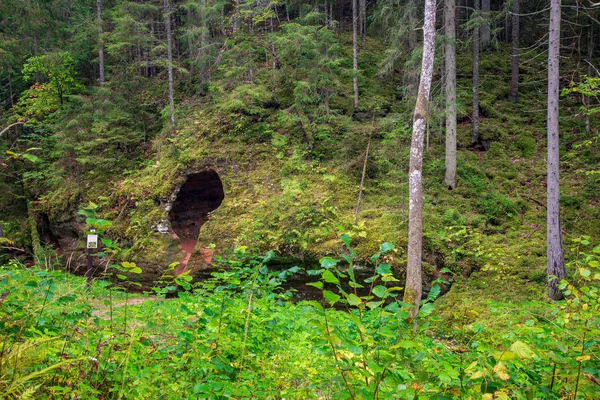 Falaise de grès avec entrée de grotte sombre dans la forêt verte — Photo