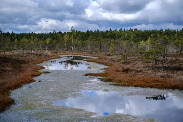 Moeras meren met reflecties van blauwe lucht en wolken in nationaal — Stockfoto