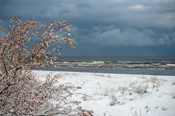 Fagyasztott hóval borított strand a tengerparton — Stock Fotó