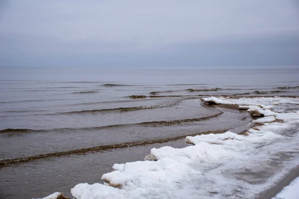 Jéghideg tengeri strand hóval és fagyasztott fákkal — Stock Fotó