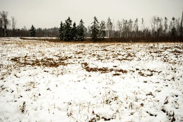 Texture del terreno ghiacciato in campagna invernale — Foto Stock