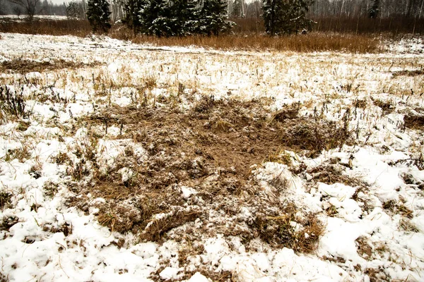 Textura del suelo congelado en el campo de invierno — Foto de Stock