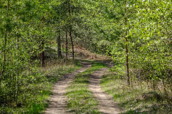 Kırsal güzel çakıl yol — Stok fotoğraf