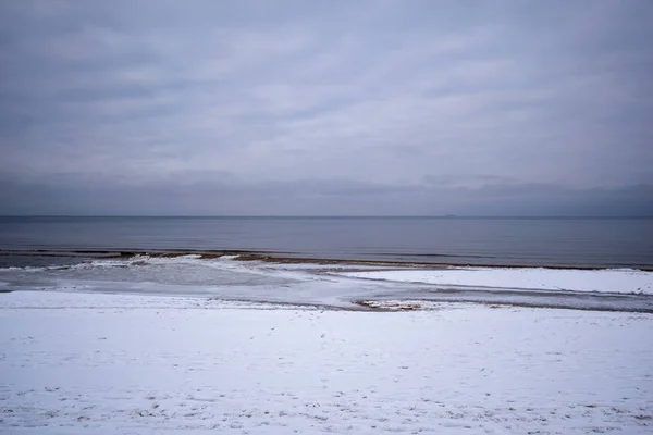 Крижаний замерзлий морський пляж зі снігом і замерзлими деревами — стокове фото