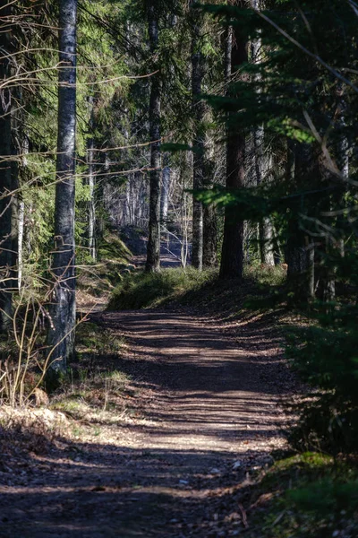 Route de gravier vide dans la forêt avec des rayons du soleil et des ombres — Photo