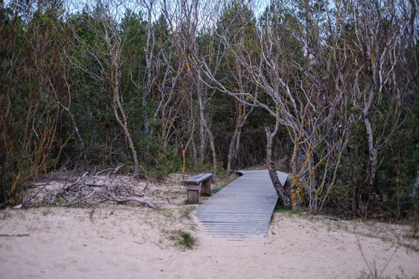 沙丘中靠近大海的木板木板人行道 — 图库照片