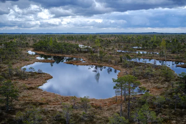Ulusal mavi gökyüzü ve bulutlar yansımaları ile bataklık göller 
