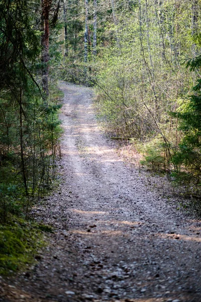 Belle route de gravier à la campagne — Photo