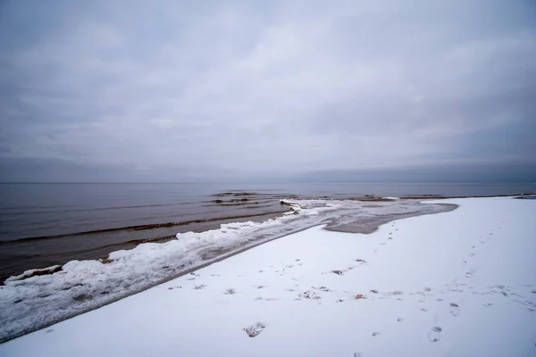Крижаний замерзлий морський пляж зі снігом і замерзлими деревами — стокове фото