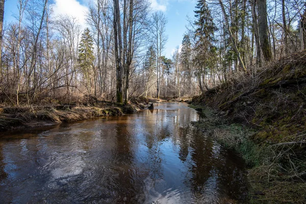 国家森林河在早春，没有植被 — 图库照片