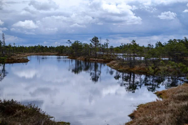 Moeras meren met reflecties van blauwe lucht en wolken in nationaal — Stockfoto