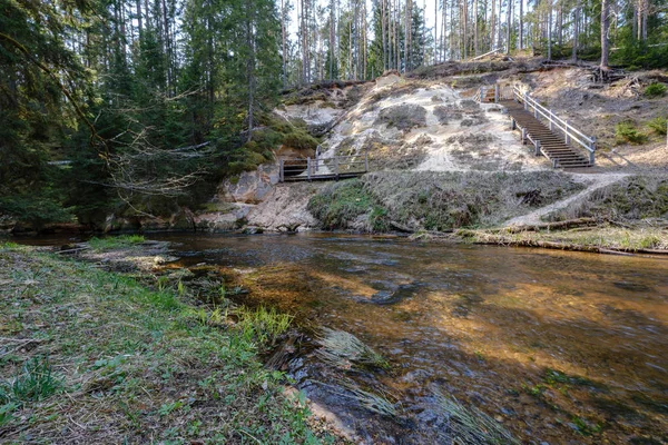 Rock täckt flodbädden i skog med lågvatten nivå — Stockfoto