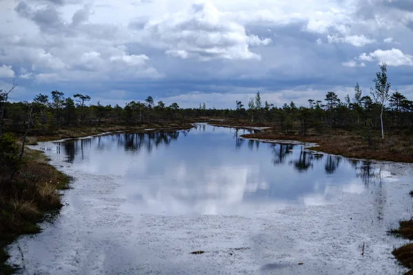 Болотные озера с отражениями голубого неба и облаков в Национальном — стоковое фото