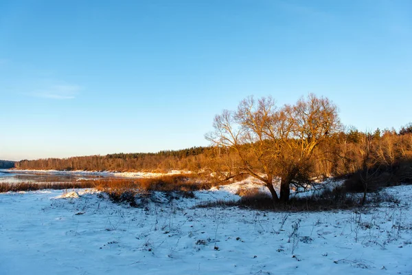 겨울 시골의 냉동 지상 질감 — 스톡 사진