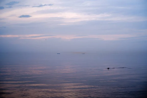 Plage de mer calme sur le rivage de la mer Baltique avec des nuages bleus et l — Photo