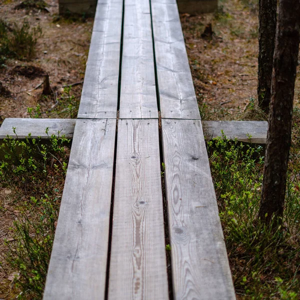 Beautiful wooden plank boardwalk footpaths in swamp national par — 스톡 사진
