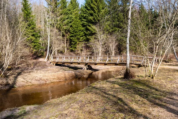 Bosque rural río a principios de primavera sin vegetación en el s — Foto de Stock