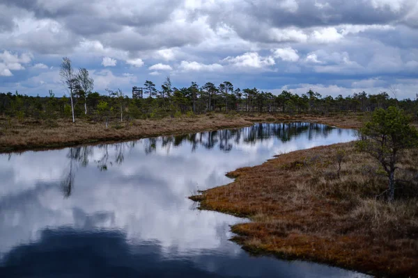 Болотные озера с отражениями голубого неба и облаков в Национальном — стоковое фото