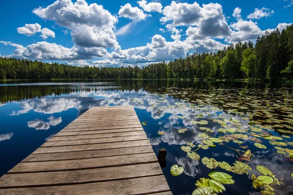 Trägolv vid strandpromenaden studsmatta i sjön — Stockfoto