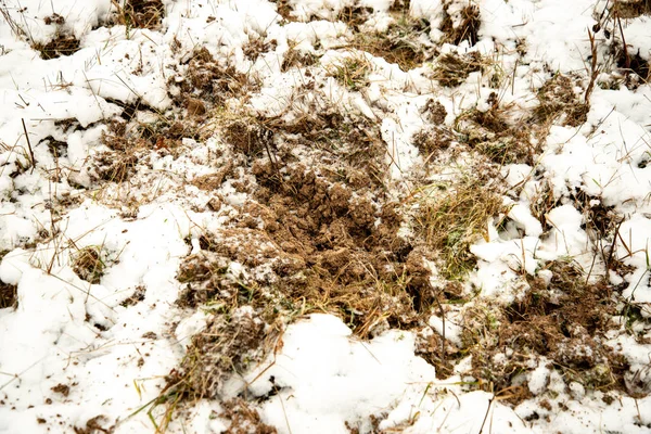冬の田園地帯の凍った地面の質感 — ストック写真