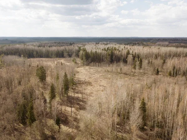 A vidéki területek és erdők kis tavakkal való megtekintése — Stock Fotó