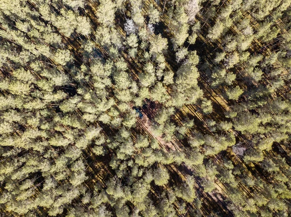 Vista aerea della campagna infinite foreste verdi con laghetto — Foto Stock