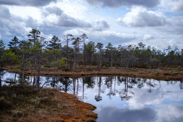 Moeras meren met reflecties van blauwe lucht en wolken in nationaal — Stockfoto