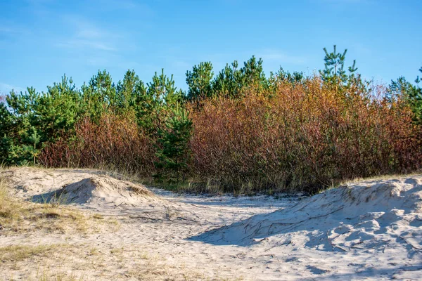 Lege duinen aan de zeezijde in het vroege voorjaar — Stockfoto