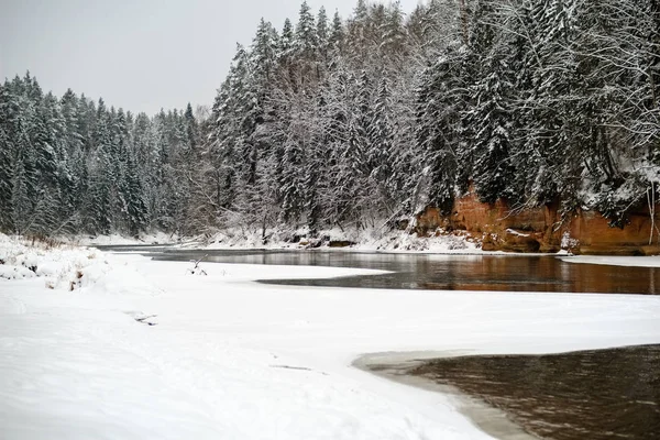 Zugefrorener Waldfluss im Winter — Stockfoto