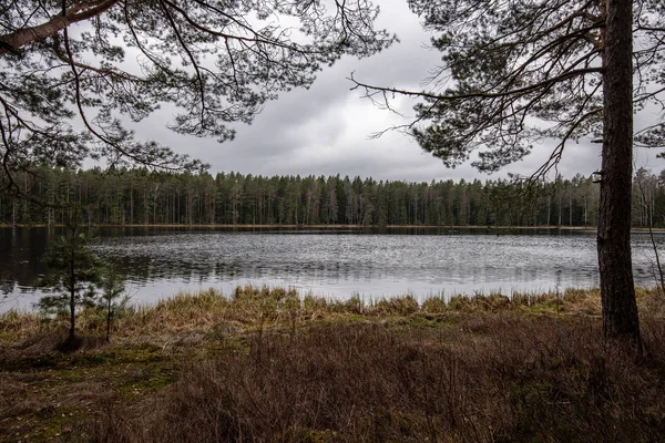 Rivière de forêt de campagne au début du printemps sans végétation sur le s — Photo