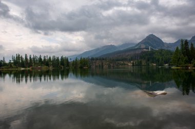 kırsal bir gölün sakin su kıyı ağaçlarının yansımaları