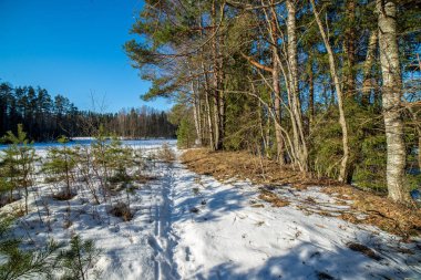 kışın karla kaplı tarla lar ve ormanlar. boş kırsal manzara