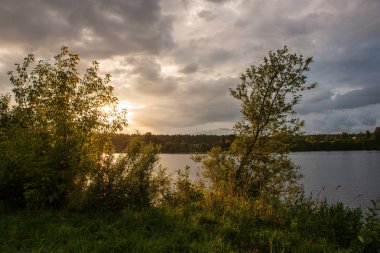 kırsal bir gölün sakin su kıyı ağaçlarının yansımaları