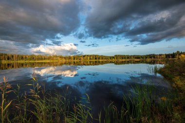 yansımaları ile mavi gökyüzünde yeşil çim çayır ve beyaz bulutlar ile göl kenarında güzel gün batımı