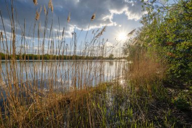 gökyüzünde mavi su ve beyaz bulutlar ile göl tarafından güneşli yaz günü. yansımaları ve yeşil ağaç yaprakları