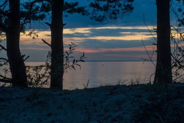 kırsal bir gölün sakin su kıyı ağaçlarının yansımaları