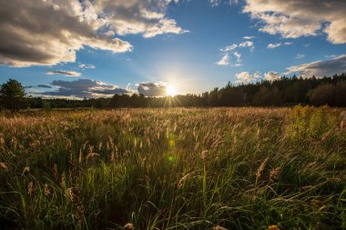 yansımaları ile mavi gökyüzünde yeşil çim çayır ve beyaz bulutlar ile göl kenarında güzel gün batımı