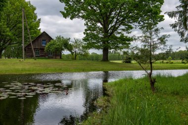 kırsal bir gölün sakin su kıyı ağaçlarının yansımaları