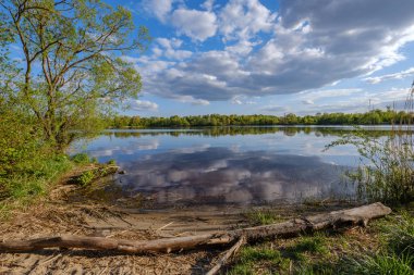 gökyüzünde mavi su ve beyaz bulutlar ile göl tarafından güneşli yaz günü. yansımaları ve yeşil ağaç yaprakları