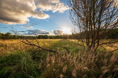 yansımaları ile mavi gökyüzünde yeşil çim çayır ve beyaz bulutlar ile göl kenarında güzel gün batımı