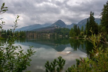 kırsal bir gölün sakin su kıyı ağaçlarının yansımaları