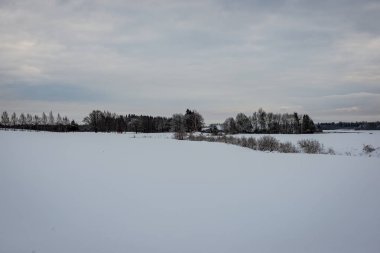kışın karla kaplı tarla lar ve ormanlar. boş kırsal manzara