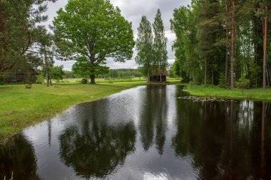 kırsal bir gölün sakin su kıyı ağaçlarının yansımaları