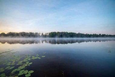 kırsal bir gölün sakin su kıyı ağaçlarının yansımaları