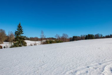 kışın karla kaplı tarla lar ve ormanlar. boş kırsal manzara