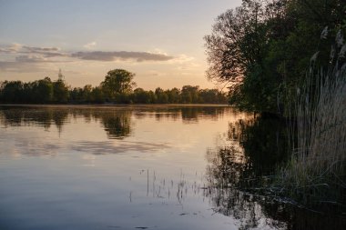 ağaç yaprakları ve dalları altında nehir tarafından güzel gün batımı. sakin su, bulutlar ve su yansımaları ile mavi gökyüzü. akşam yüzen ördekler