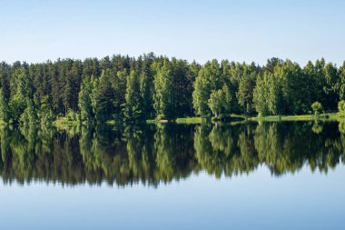 kırsal bir gölün sakin su kıyı ağaçlarının yansımaları