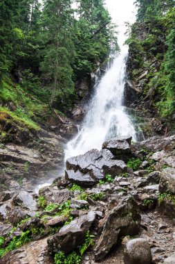 ilkbaharda büyük rohache şelale. slovakya parkurları